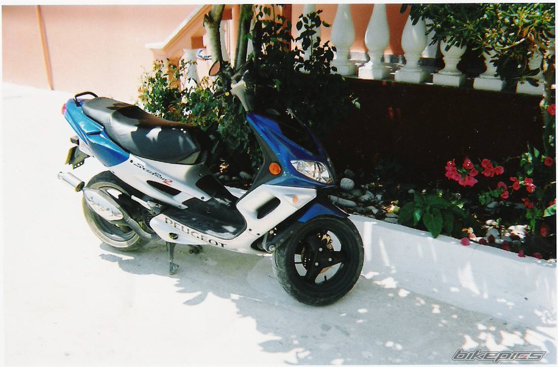 Photo 124657