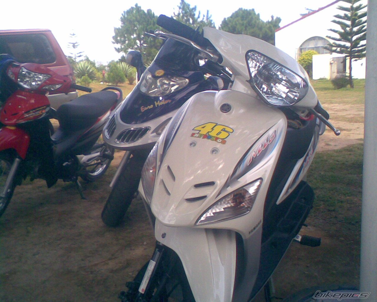 Photo 1246693