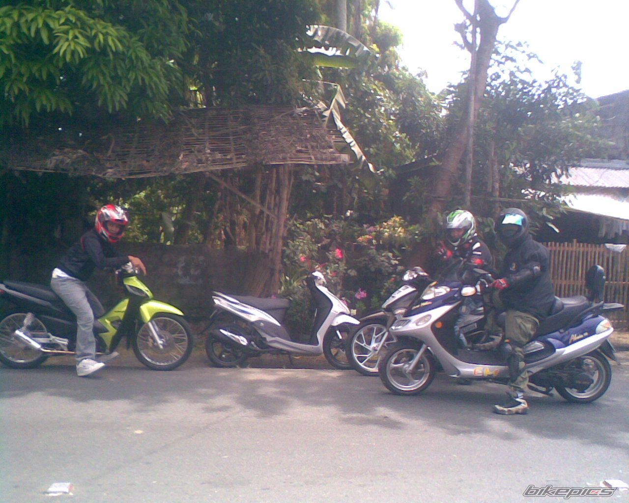 Photo 1246695