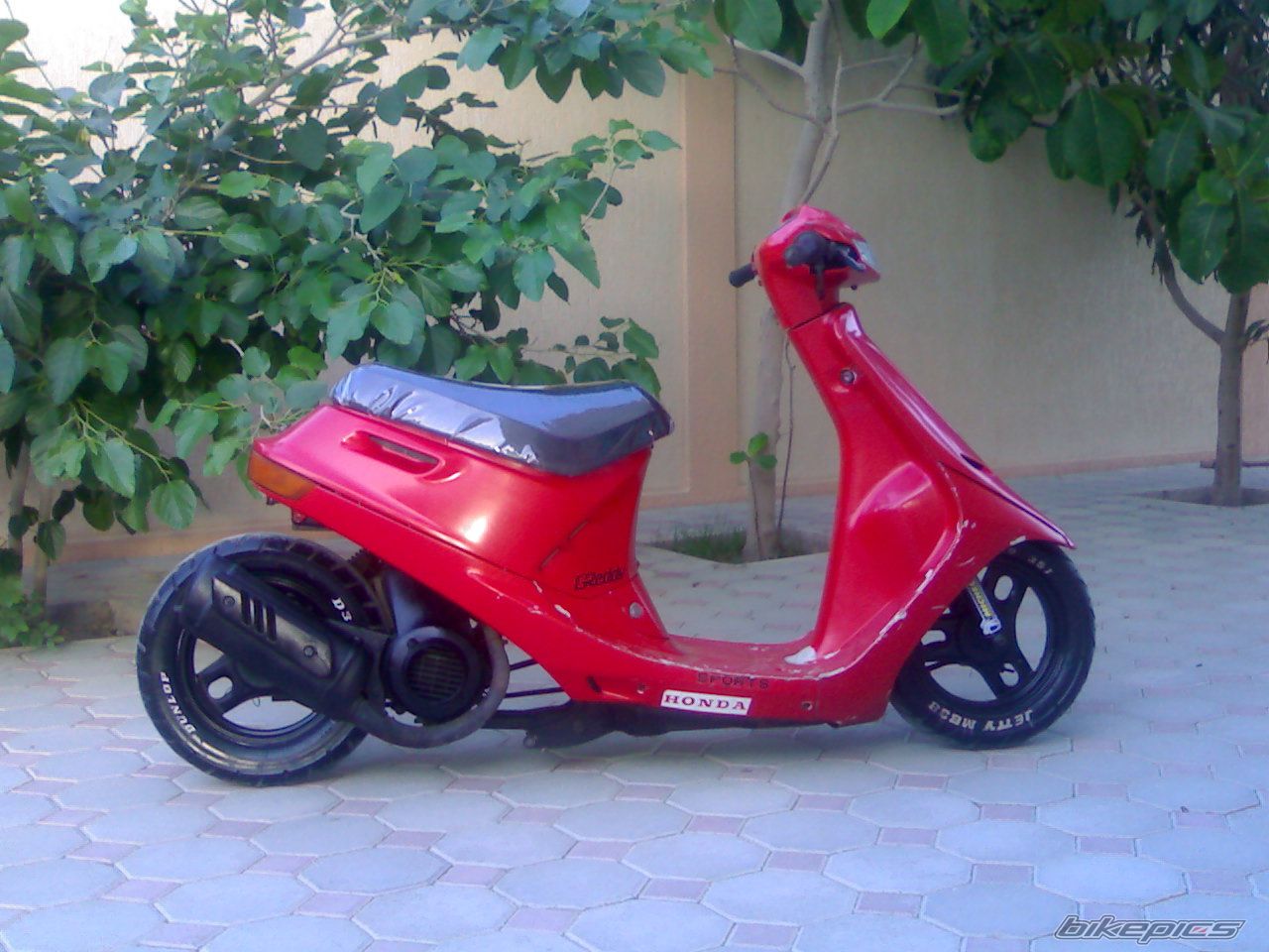 Photo 1246749