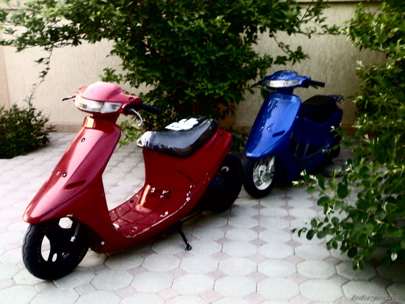 Photo 1246753