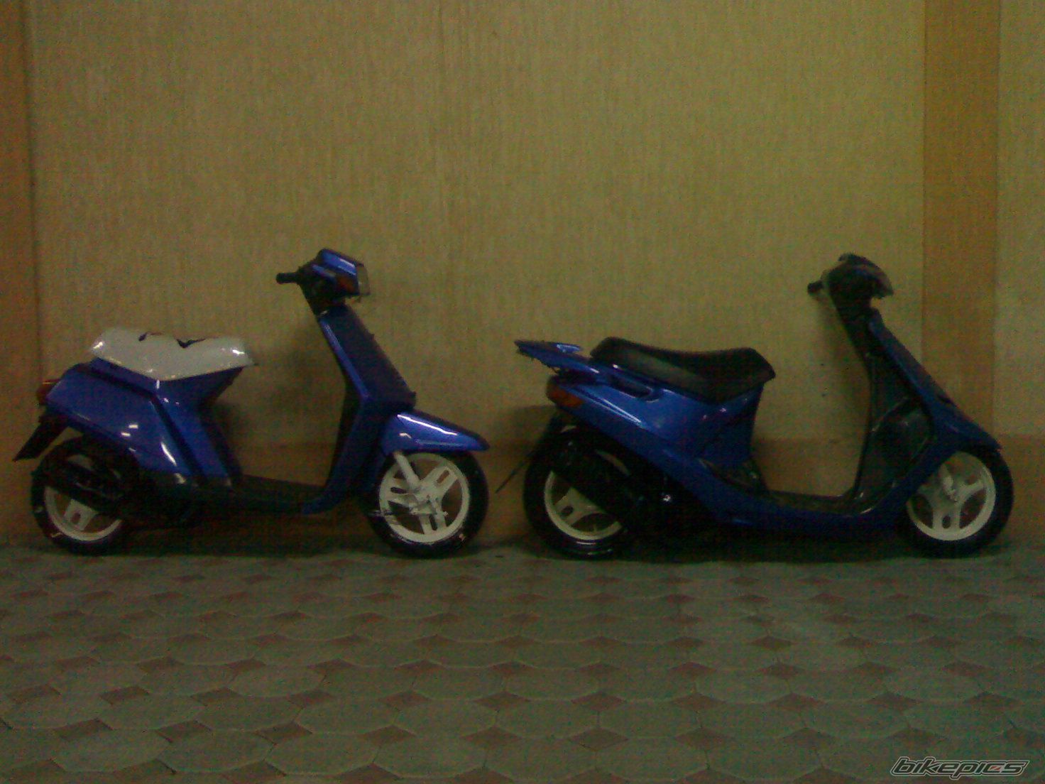 Photo 1246759