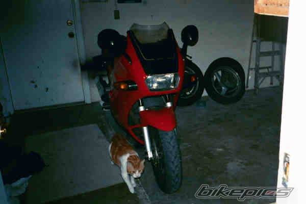 Photo 12468