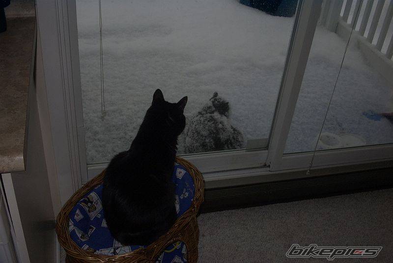 Photo 124682