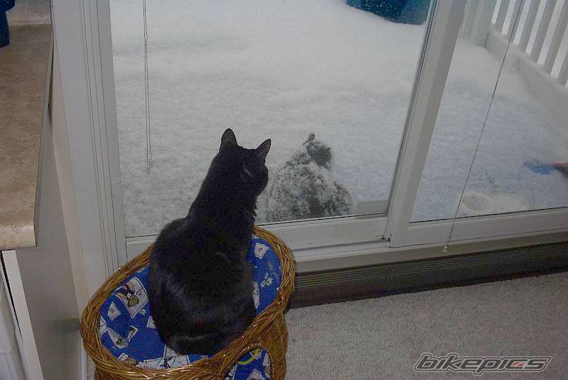 Photo 124684