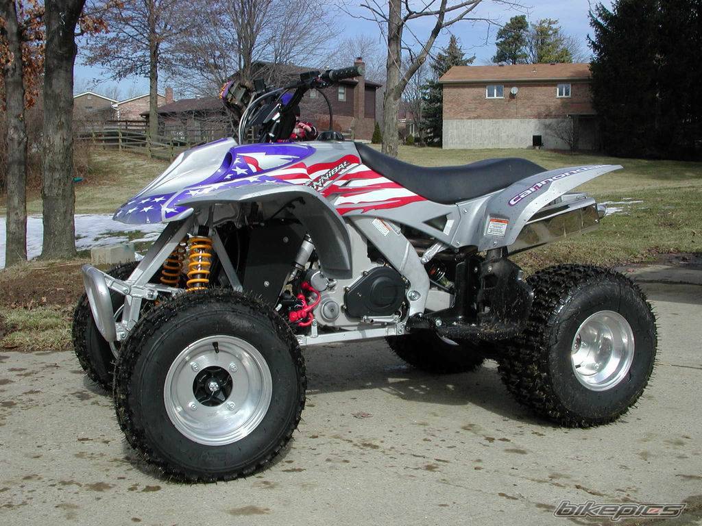 Photo 124687