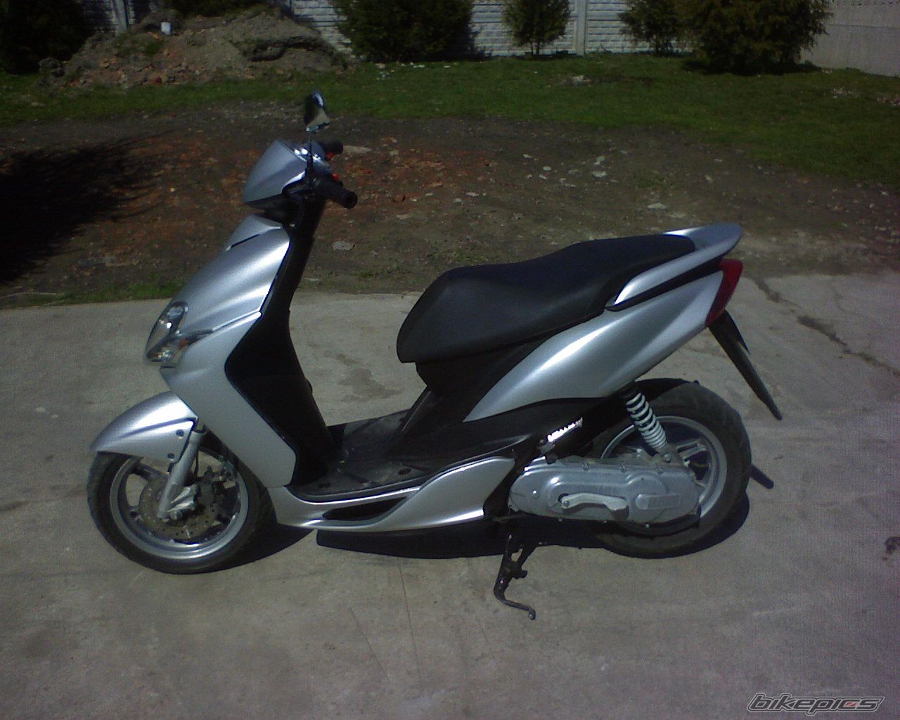 Photo 1246907