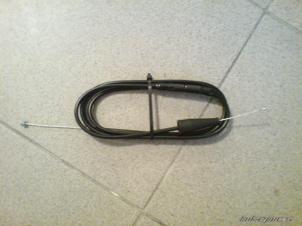 Photo 1246964