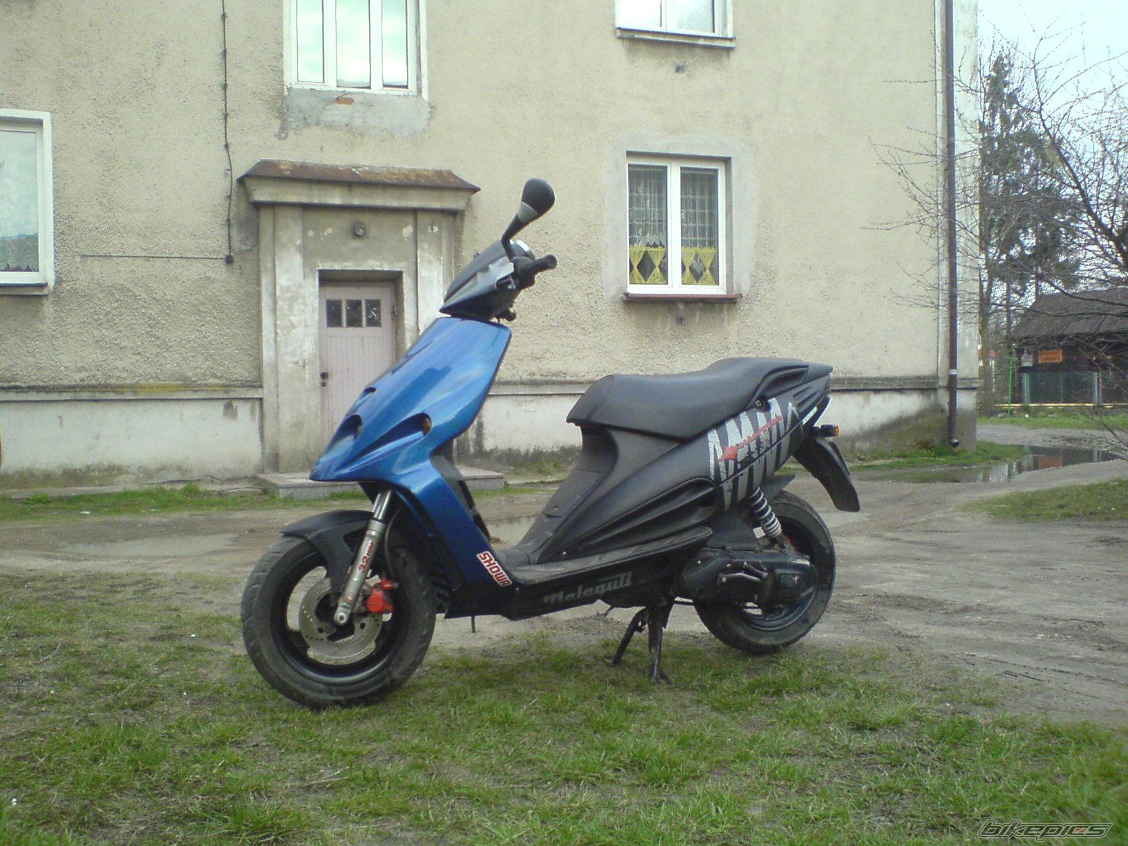 Photo 1246999