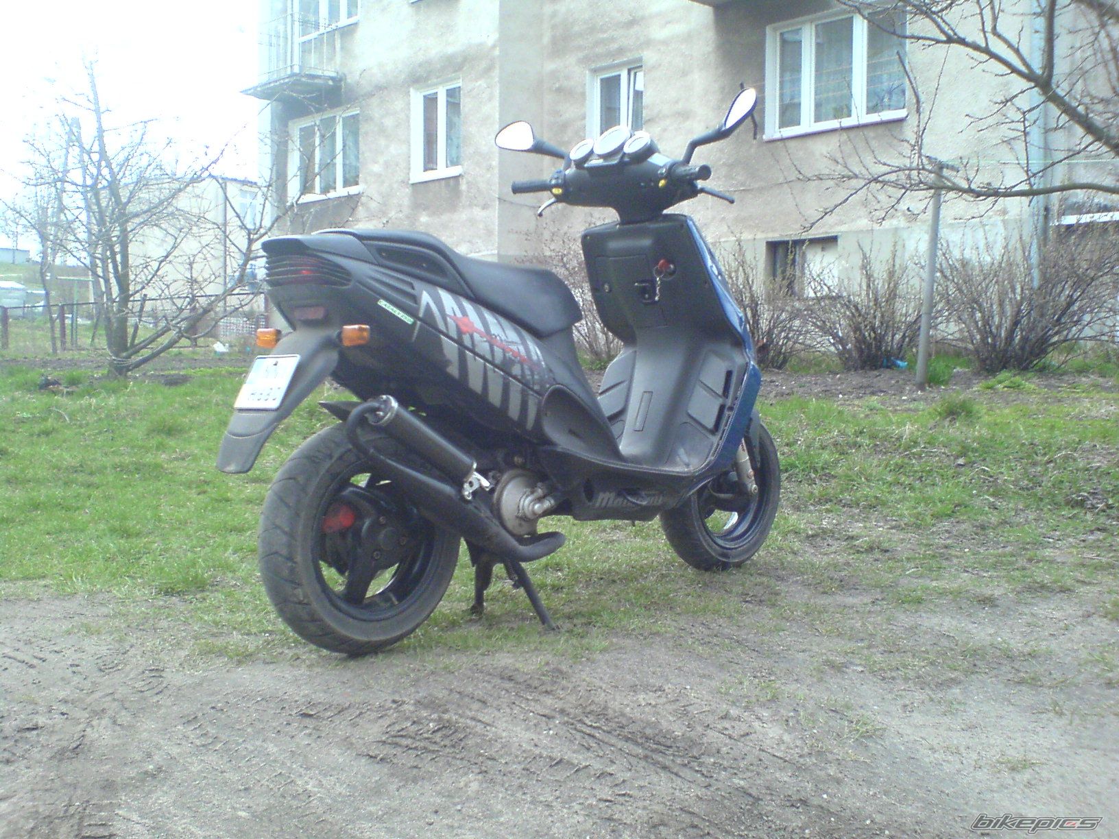Photo 1247008