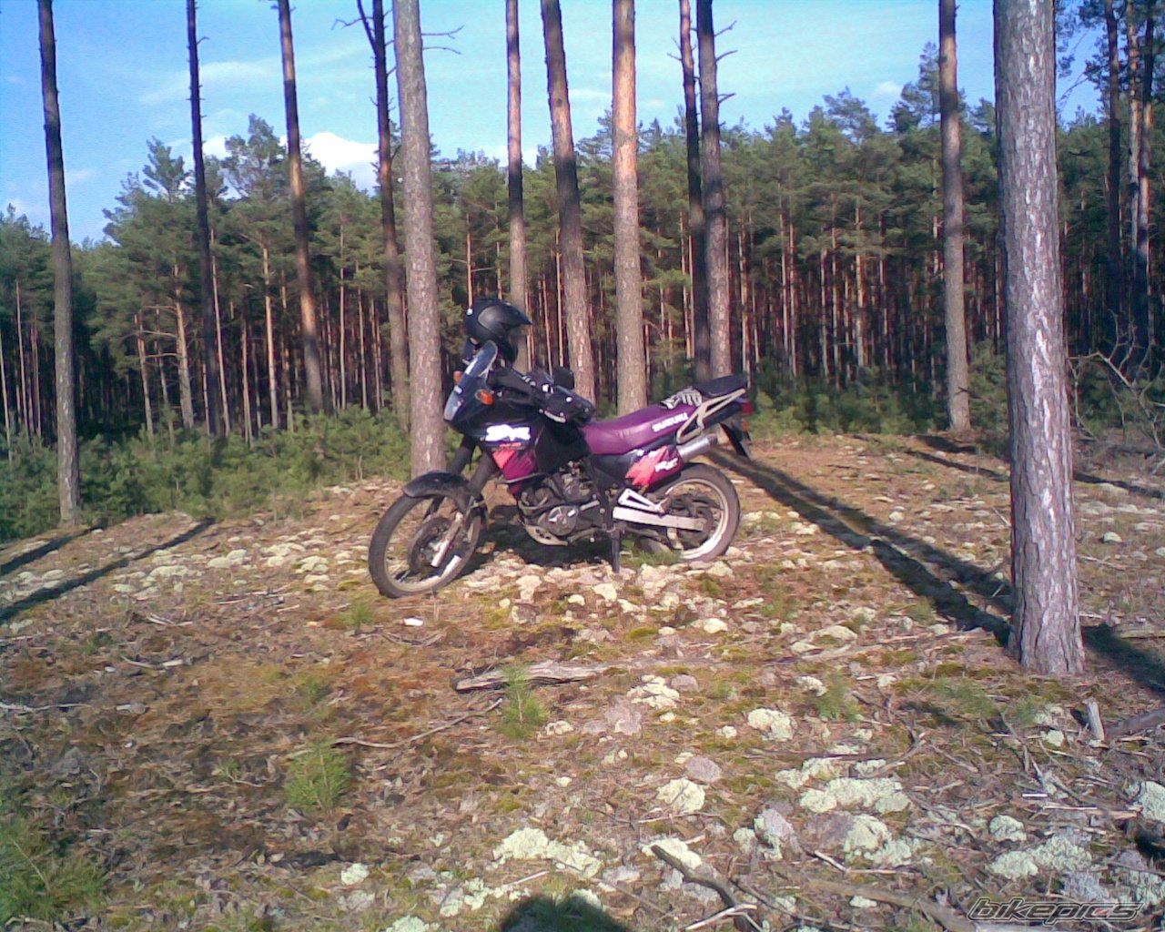 Bike Photo 1247014