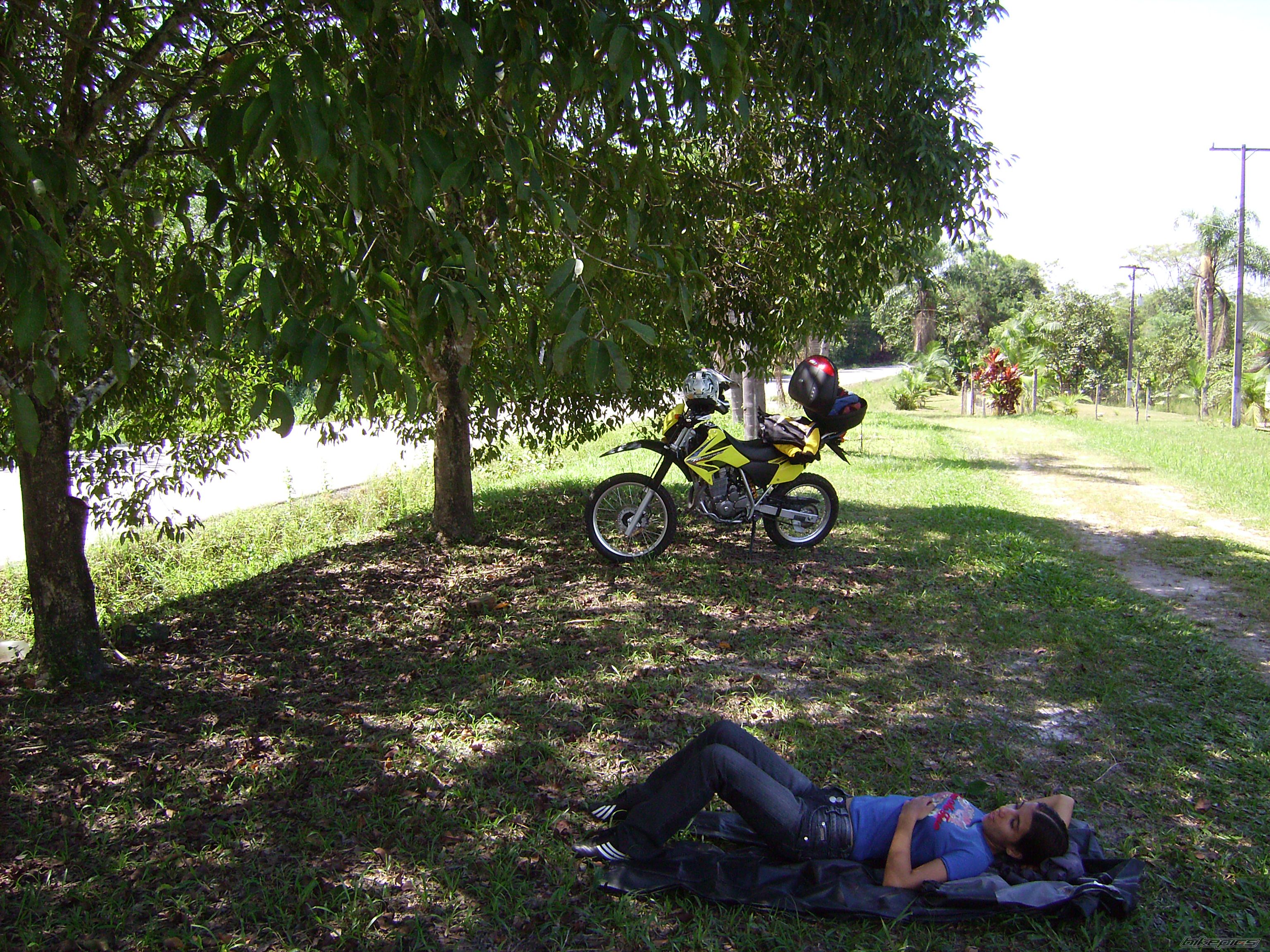 Bike Photo 1247017