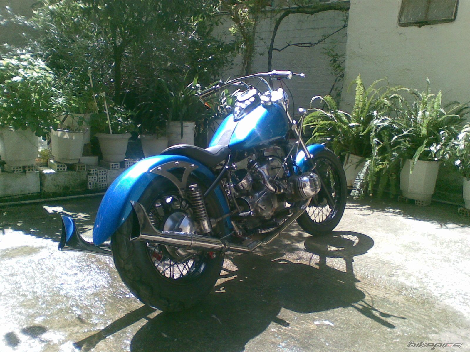 Photo 1247236