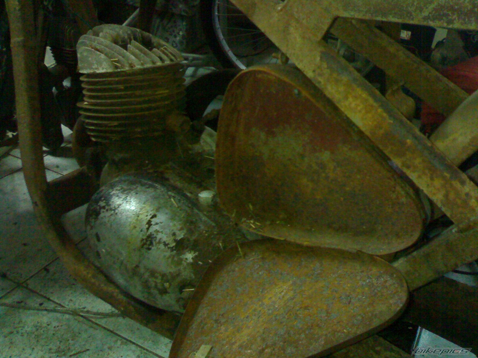 Photo 1247324