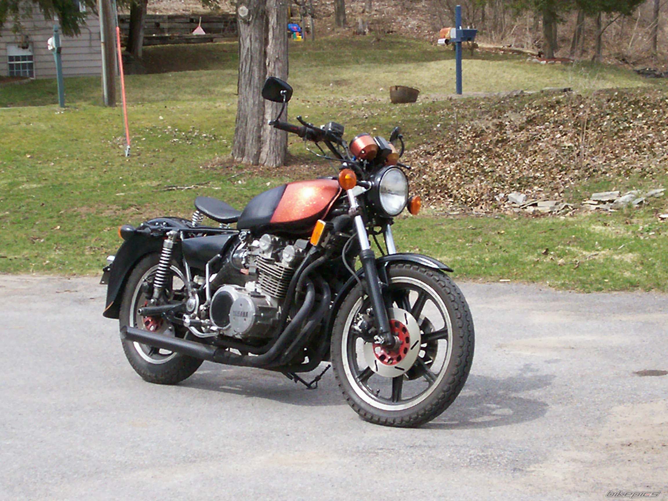 Photo 1247333