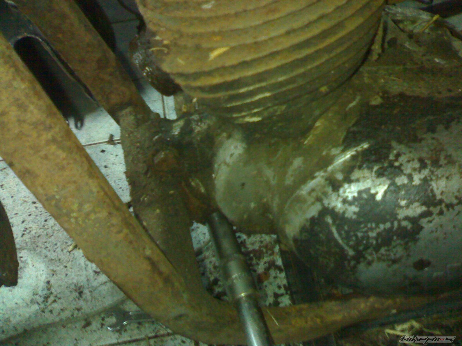 Photo 1247338