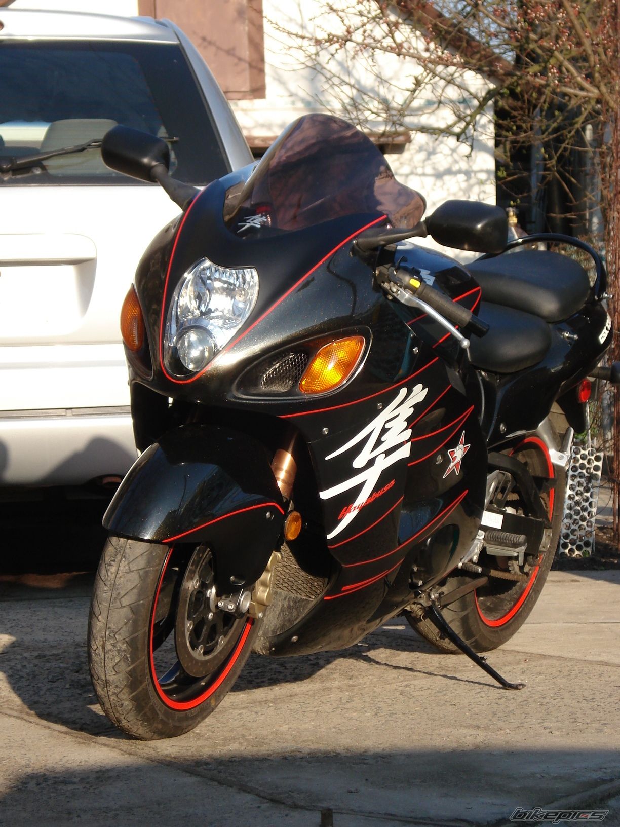 Photo 1247461