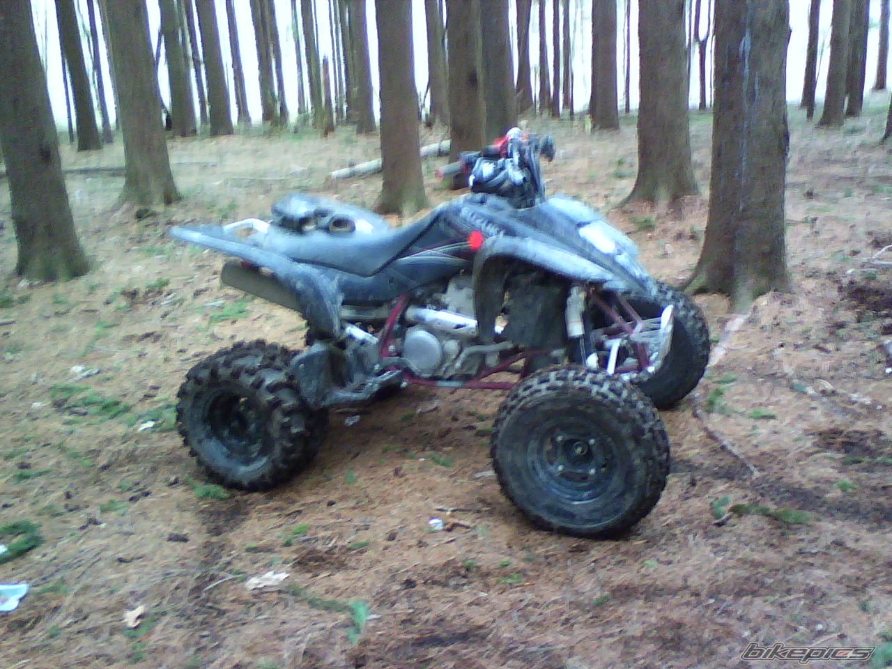 Photo 1247504