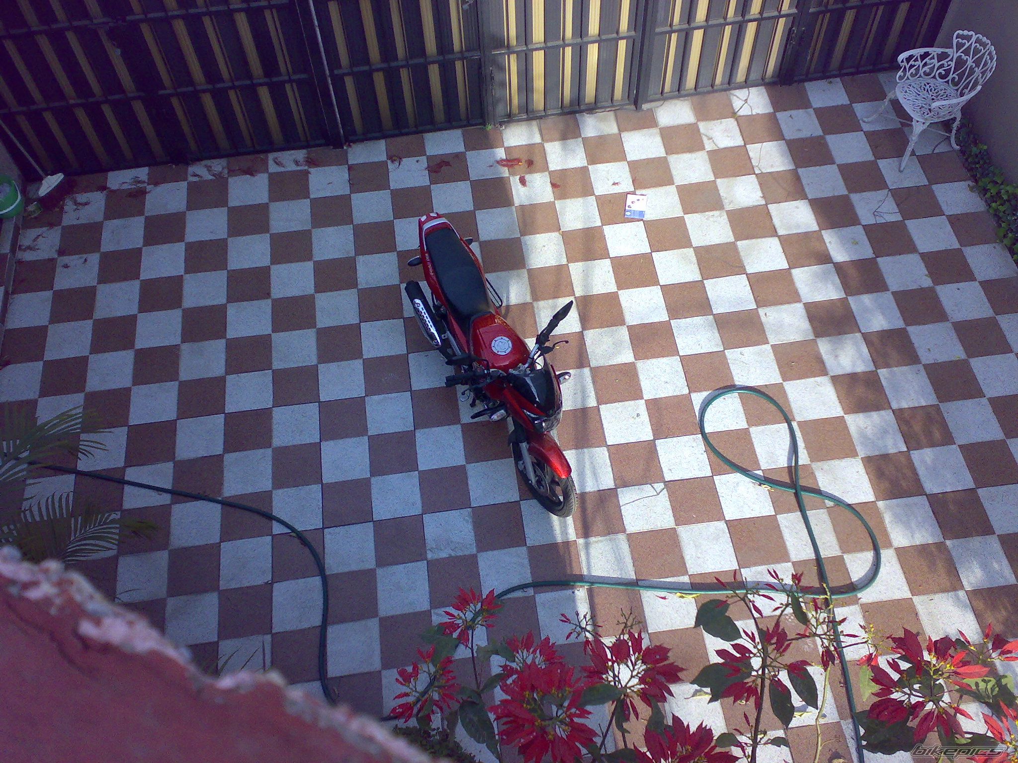 Photo 1247660