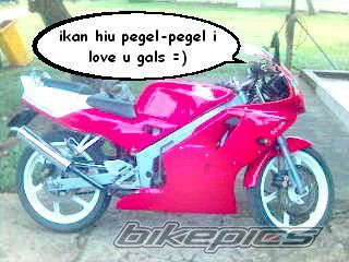 Photo 1247687