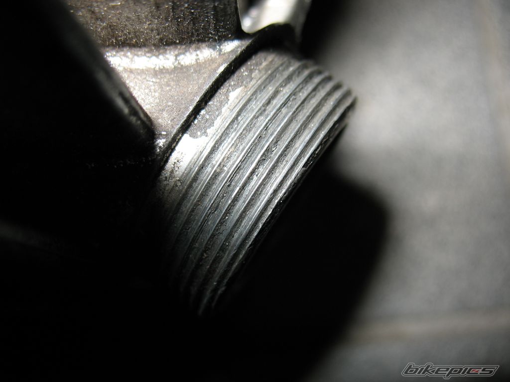 Photo 1247782