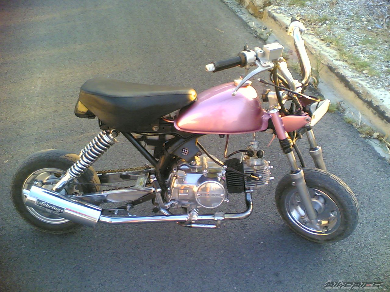 Photo 1247899