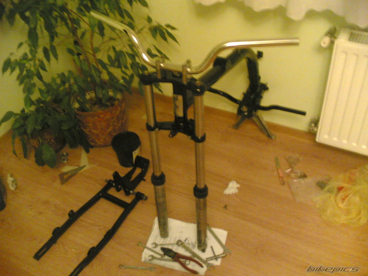 Photo 1247941