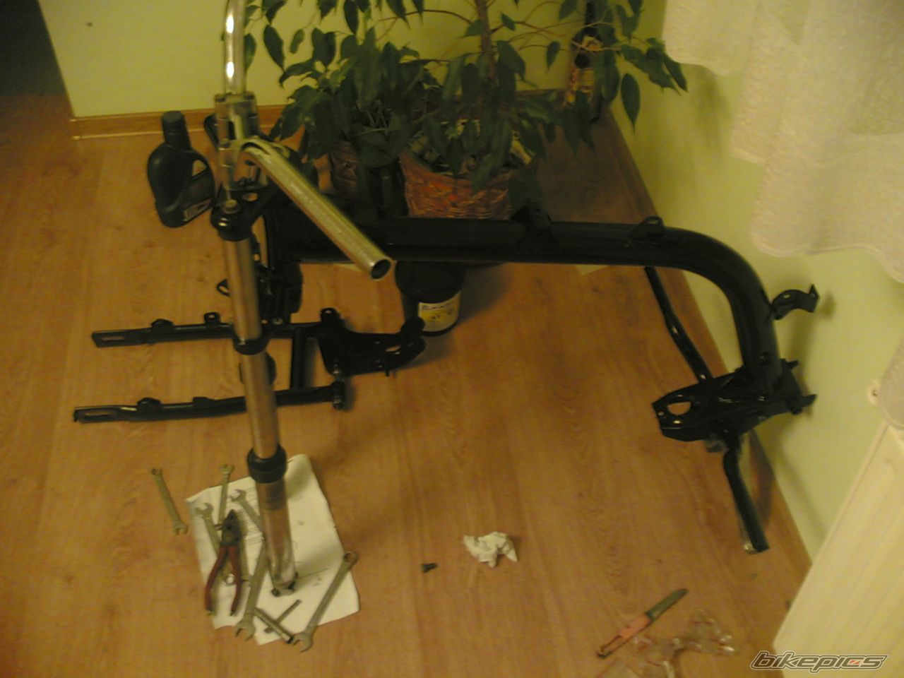 Photo 1247942