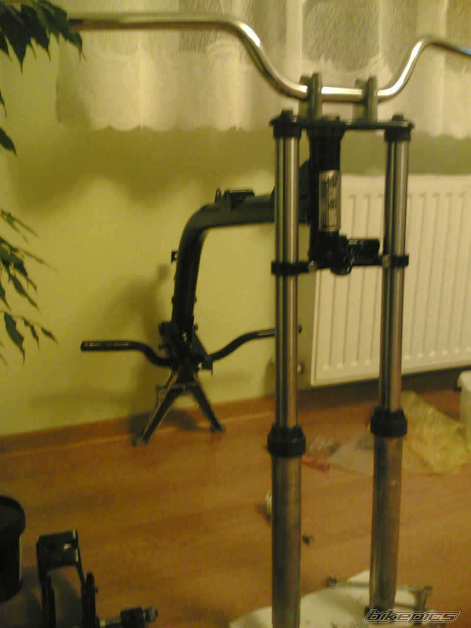 Photo 1247952