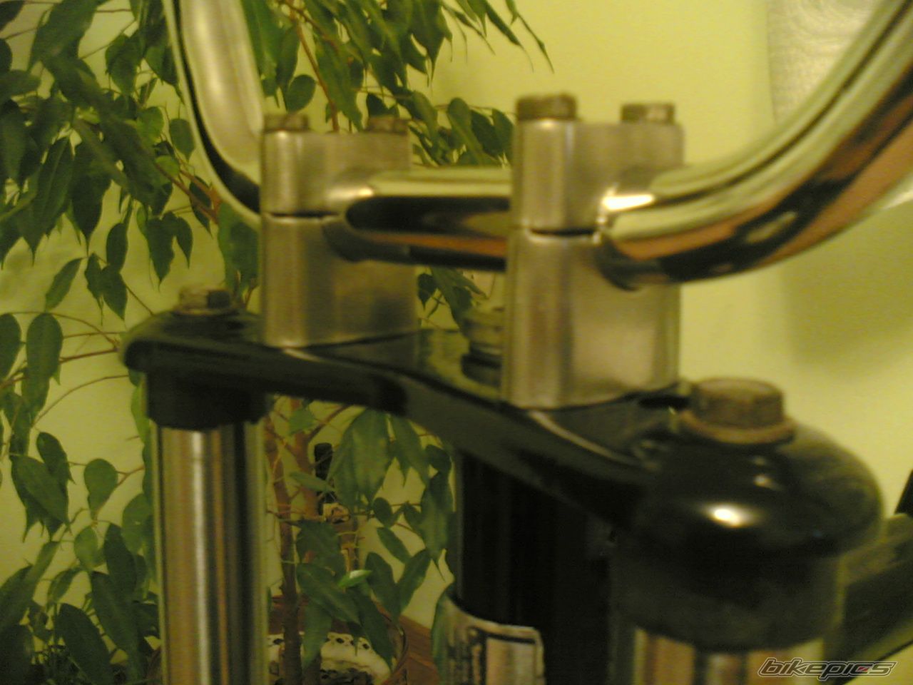 Photo 1247960