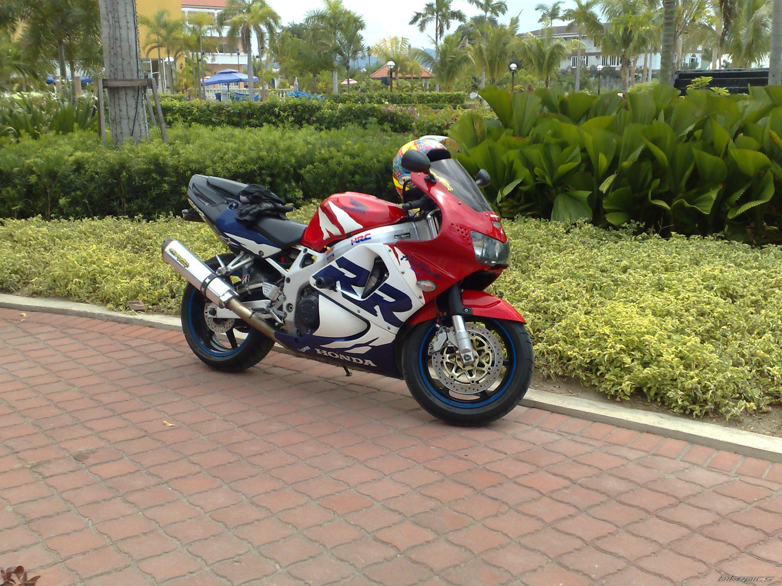 Photo 1247965