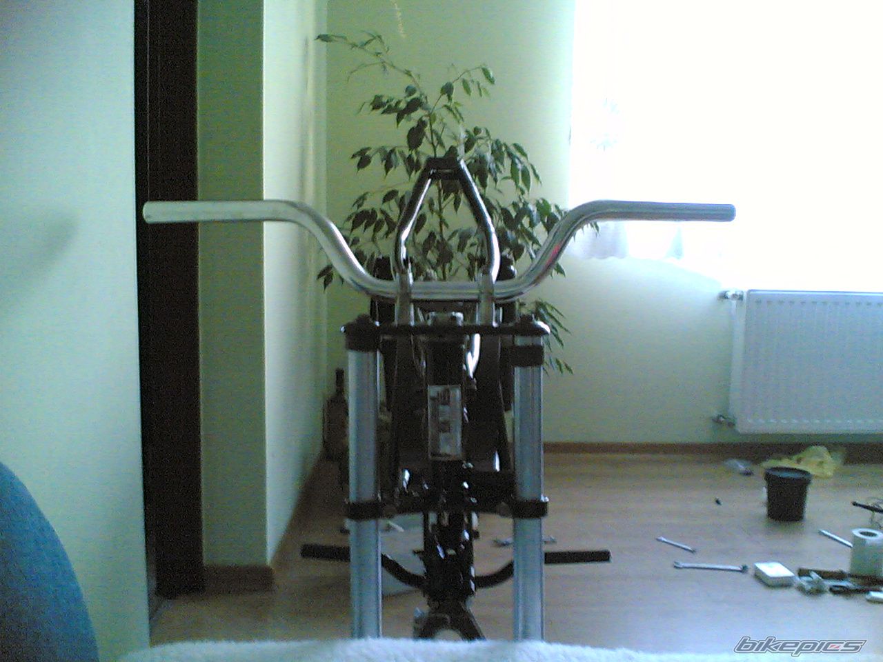 Photo 1247980