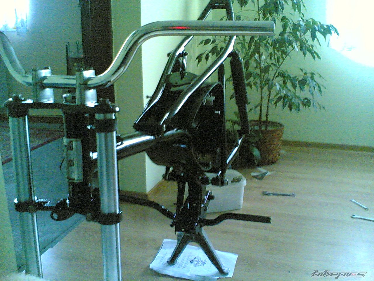 Photo 1247983