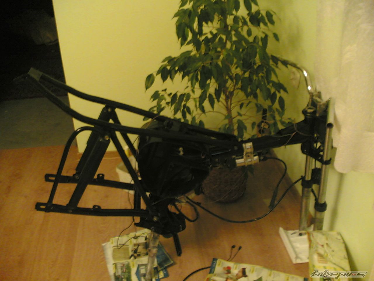 Photo 1247995