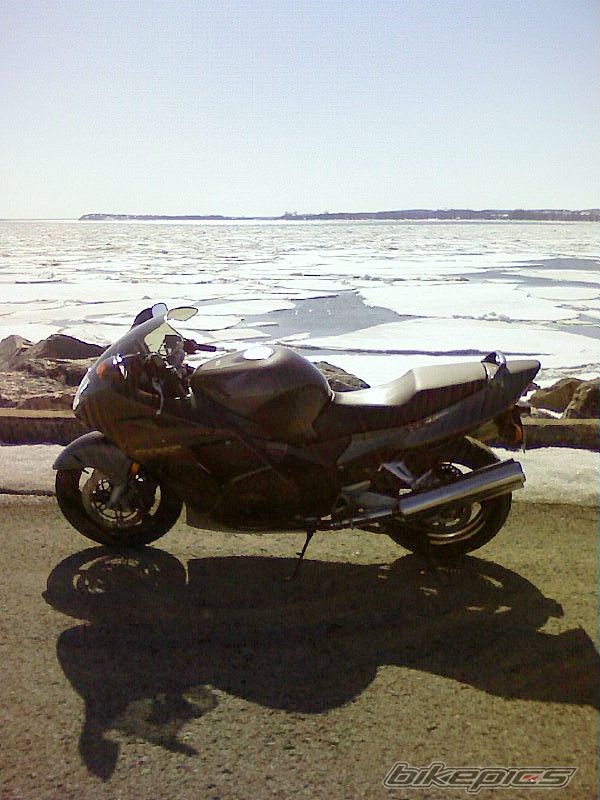 Photo 1248033