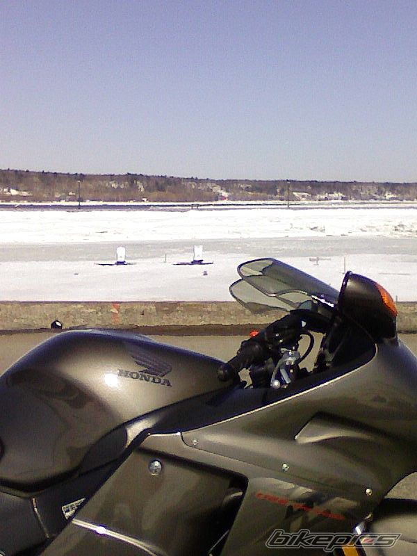 Photo 1248034