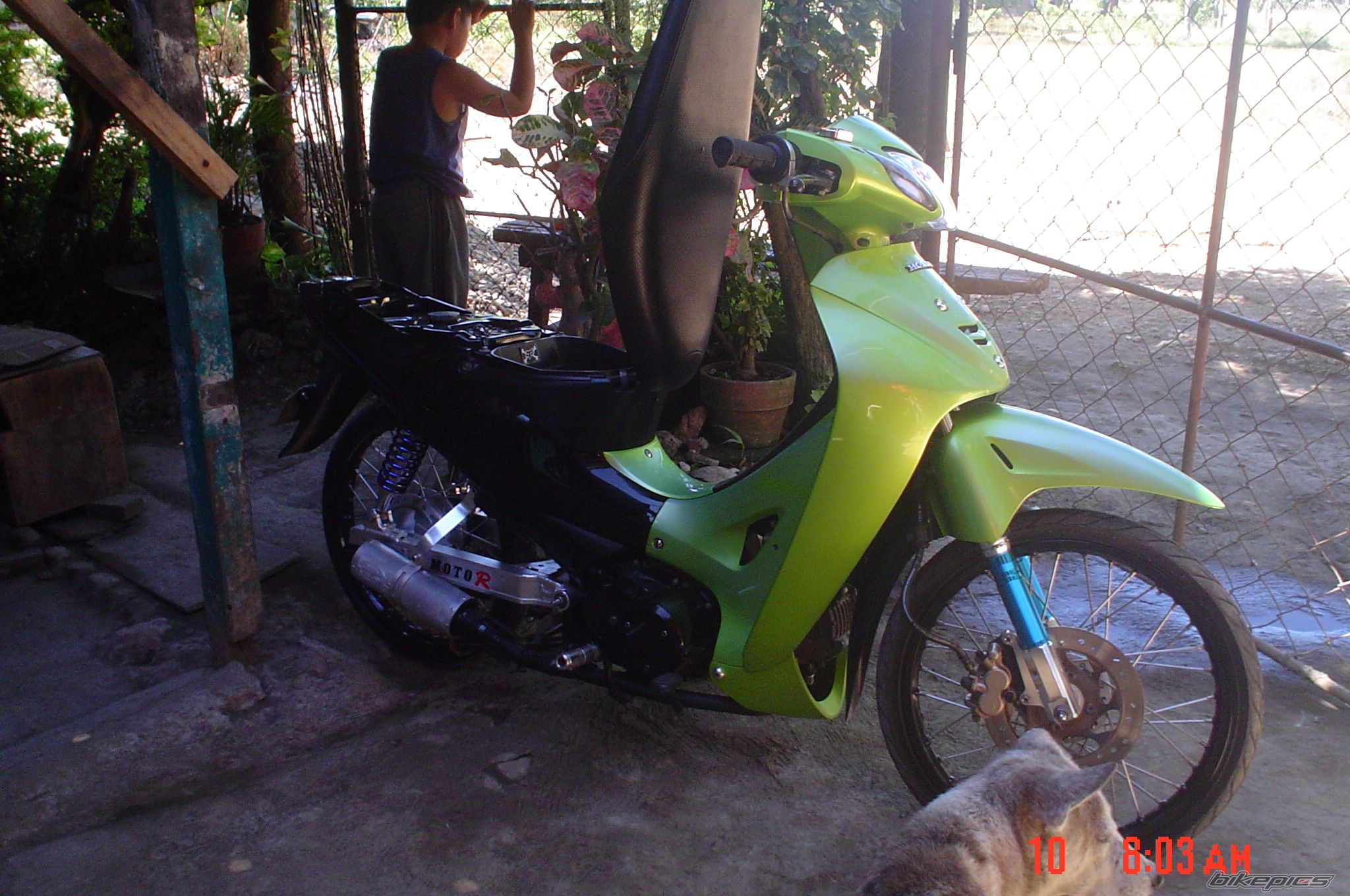 Photo 1248082