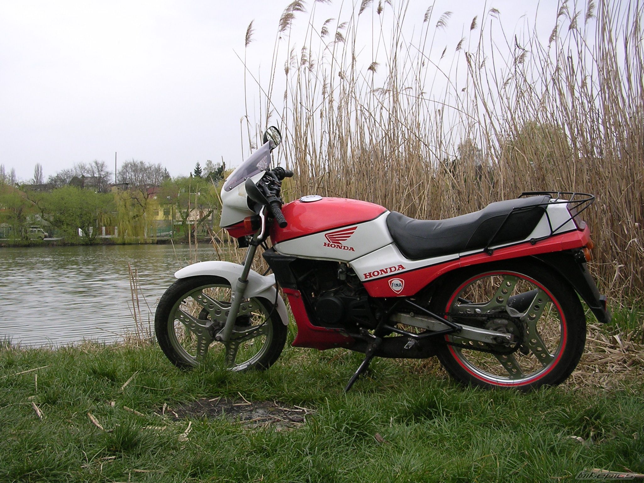 Photo 1248206