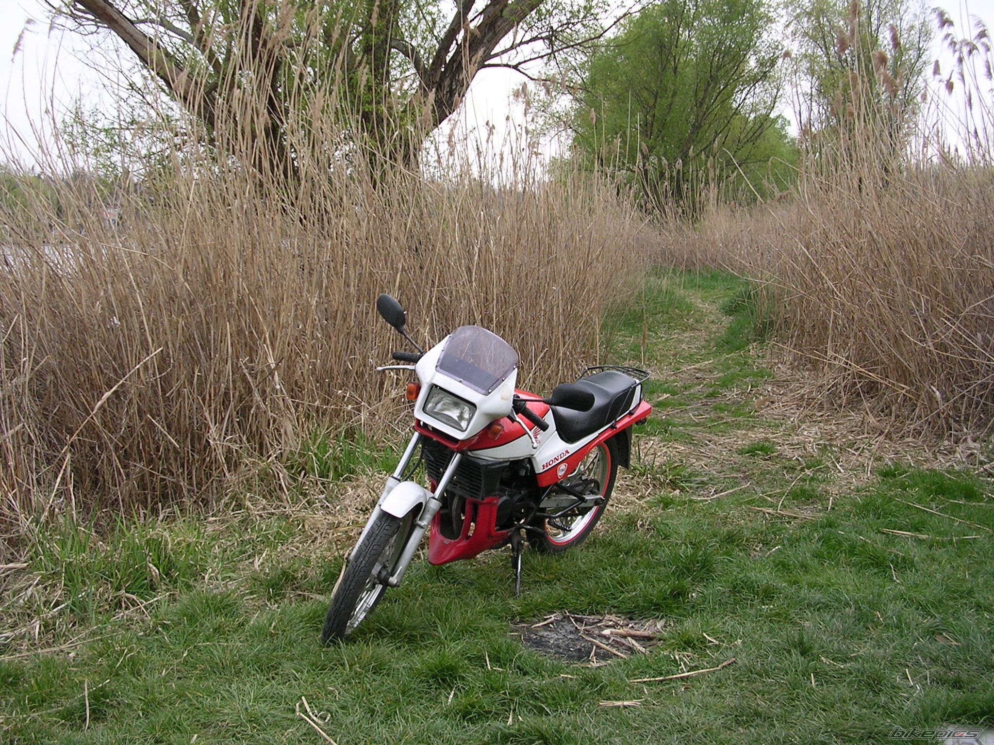 Photo 1248207