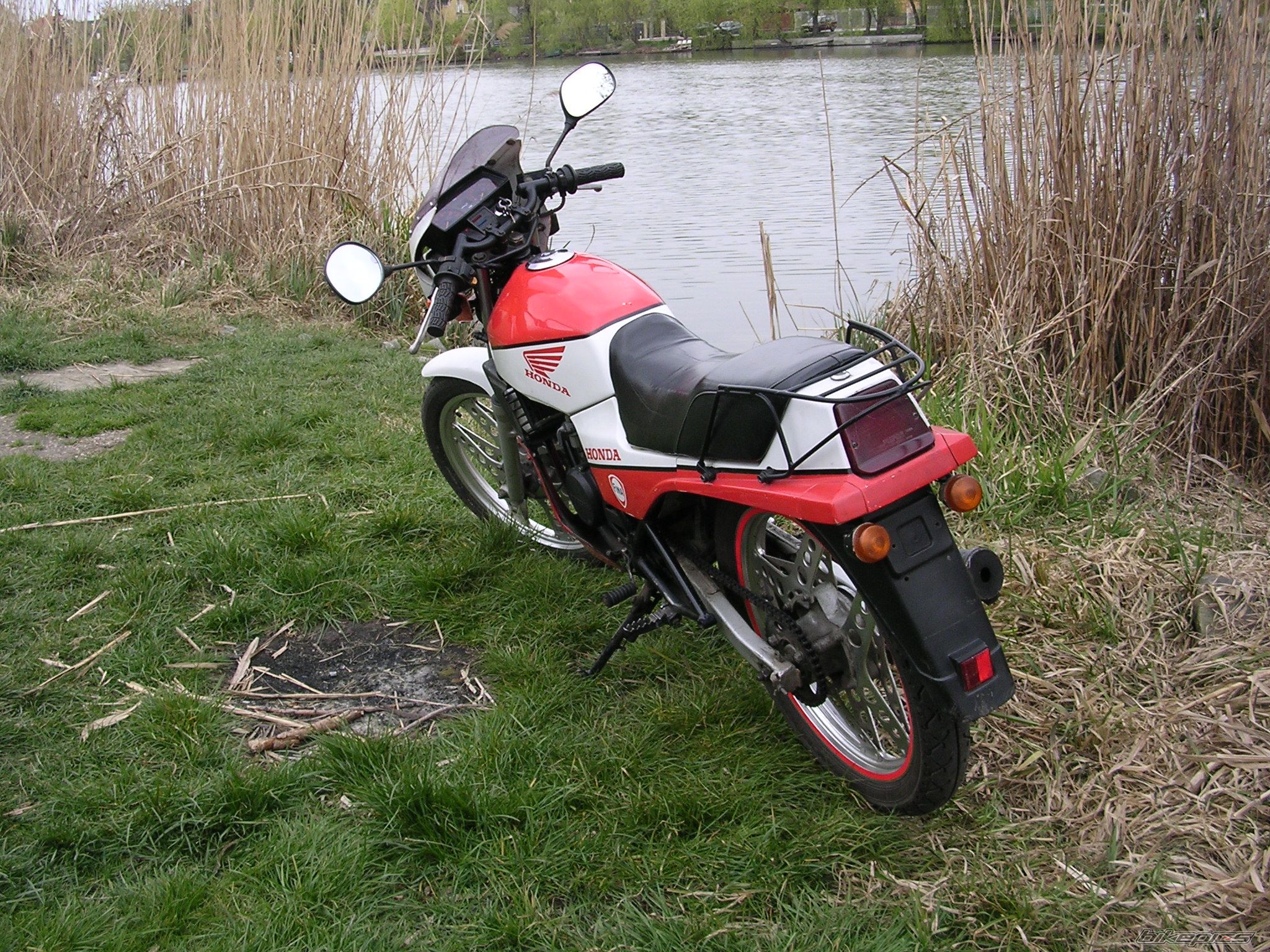 Photo 1248209