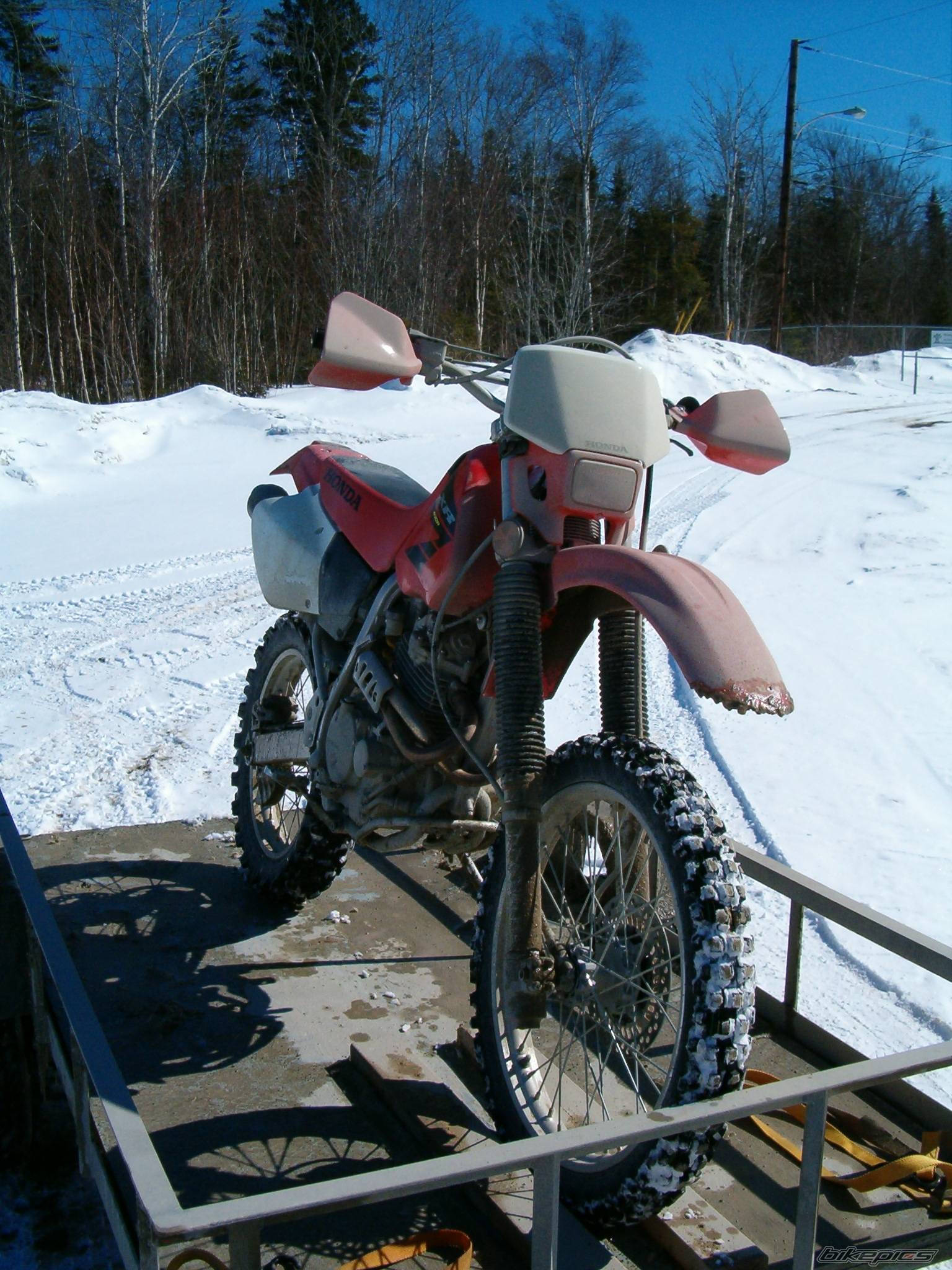 Photo 124824