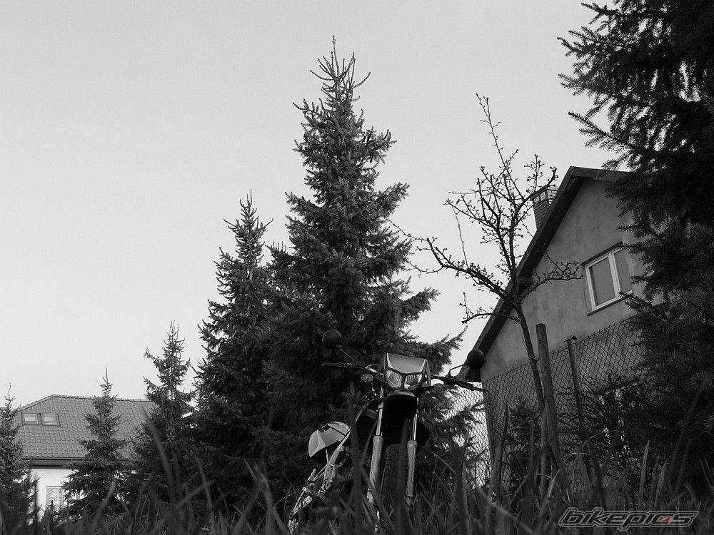 Photo 1248244