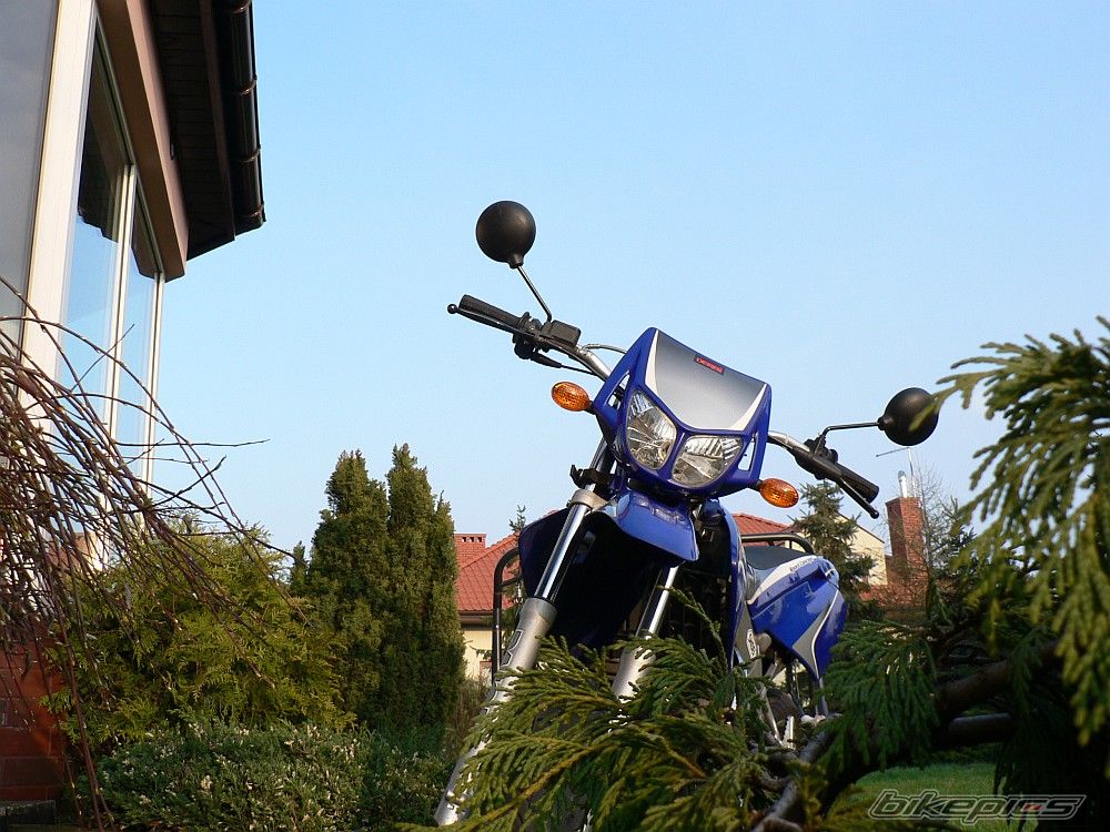 Photo 1248246