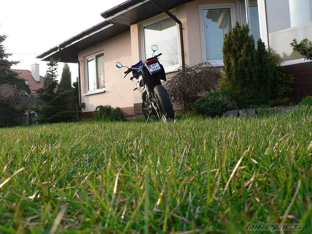 Photo 1248247
