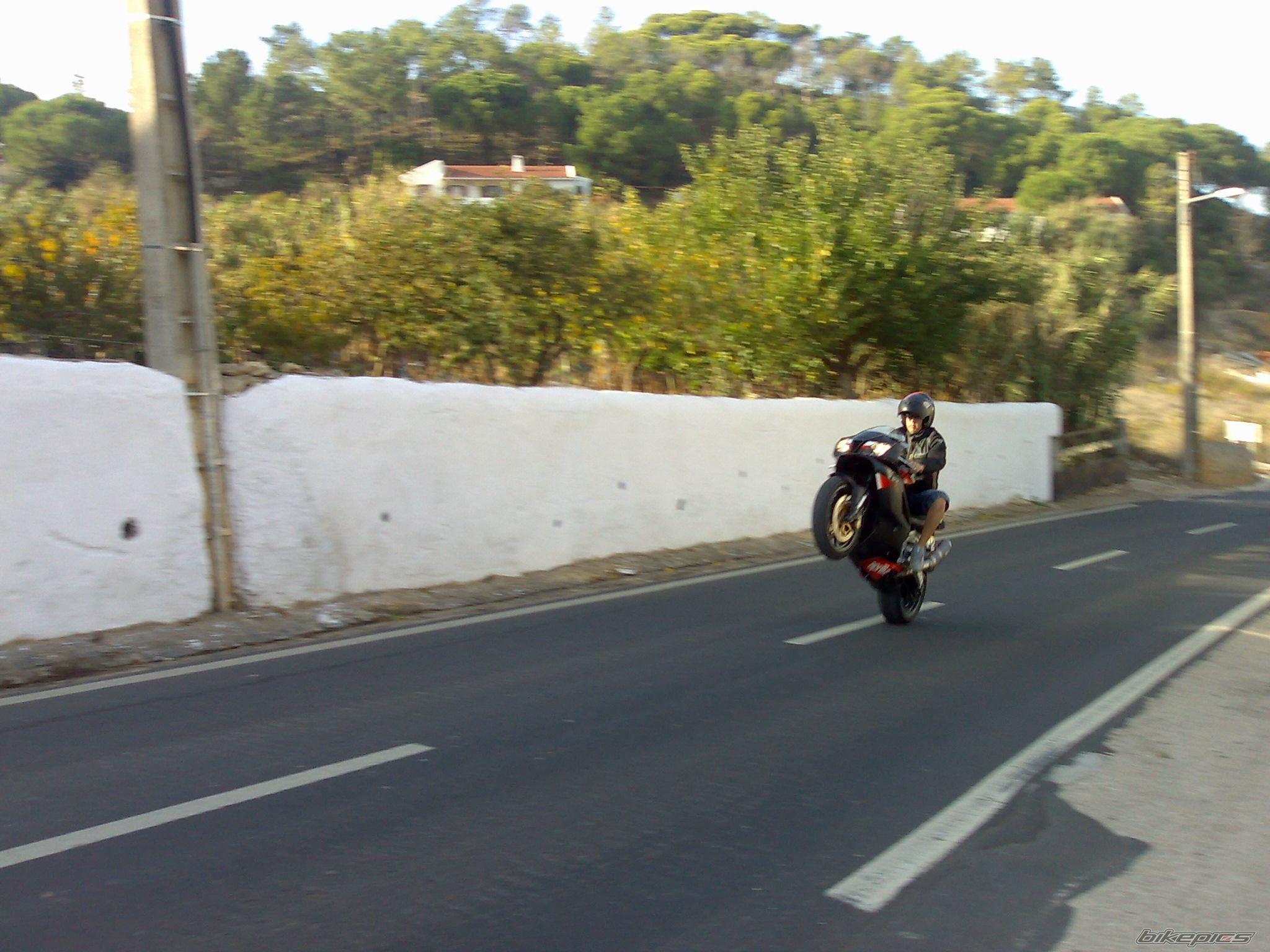 Photo 1248250