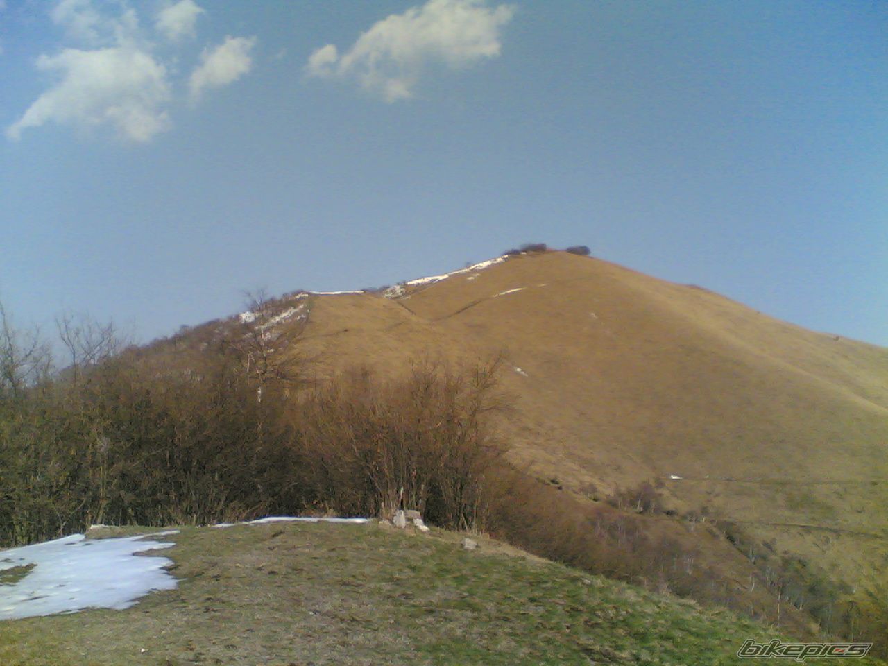 Photo 1248282