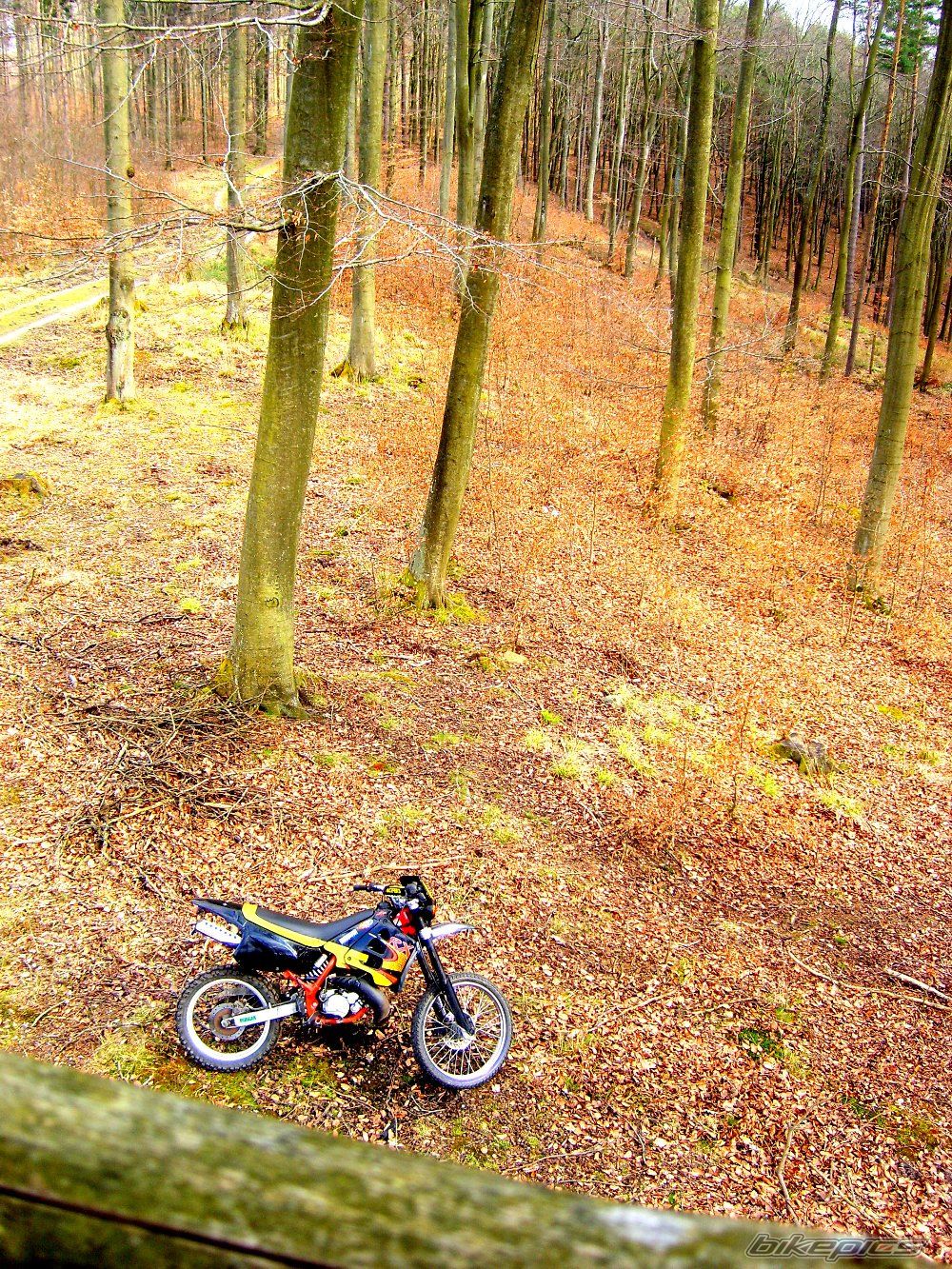 Bike Photo 1248336
