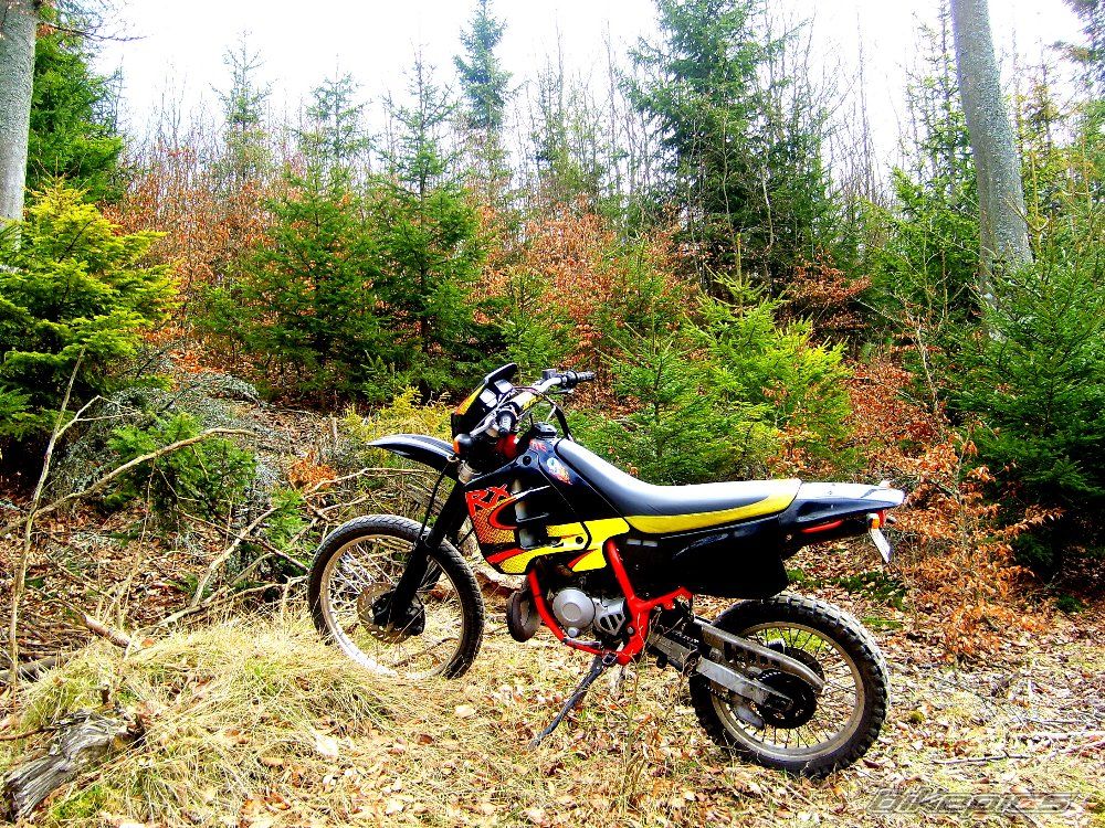 Photo 1248341