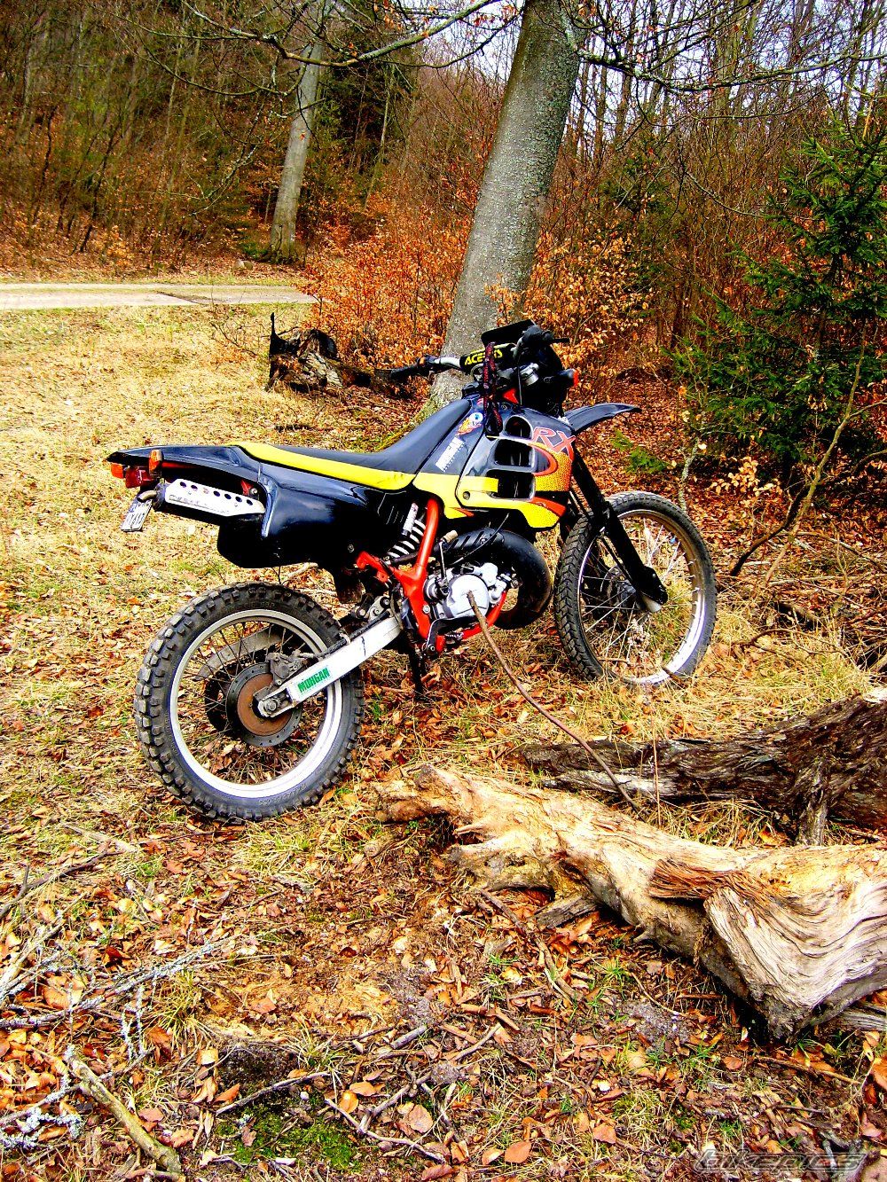 Photo 1248344