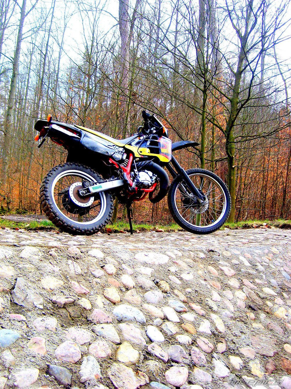 Bike Photo 1248349